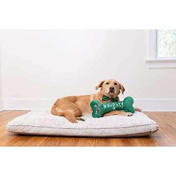 Huxley & Kent Bow Tie for Pets | Naughty & Nice (Extra-Large) | Christmas Holiday Bow Tie Collar Attachment | Fun Bow Ties for Dogs & Cats | Cute, Comfortable, and Durable | H&K Bow Tie