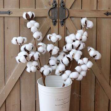 WMAOT Cotton Stems - 30” Tall - 13 Bolls/Stem Farmhouse Style Real Elastic Cotton Stalk Rustic Floral for Home Decor Wedding Centerpiece (Pack of 3)