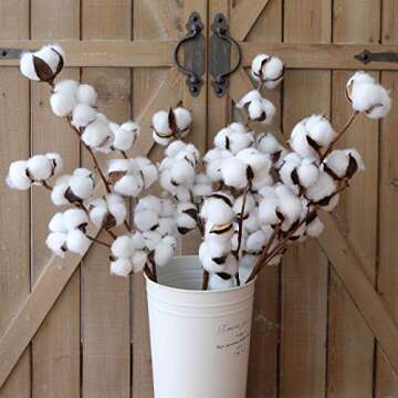 WMAOT Cotton Stems - 30” Tall - 13 Bolls/Stem Farmhouse Style Real Elastic Cotton Stalk Rustic Floral for Home Decor Wedding Centerpiece (Pack of 3)