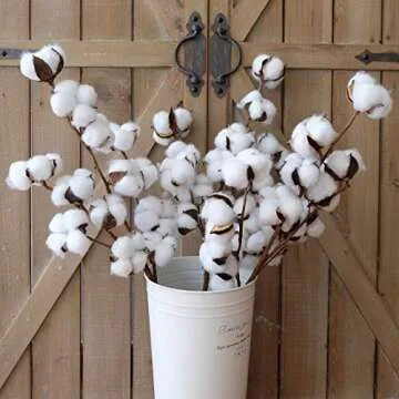 WMAOT Cotton Stems - 30” Tall - 13 Bolls/Stem Farmhouse Style Real Elastic Cotton Stalk Rustic Floral for Home Decor Wedding Centerpiece (Pack of 3)