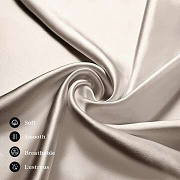 Asmork 100% Mulberry Silk Pillowcase for Hair and Skin, Both Side 19 Momme Real Silk, Hidden Zipper Washable Pure Silk Bed Pillowcase Covers, Envelope Gift Box,1PC (Beige, Standard 20''×26'')