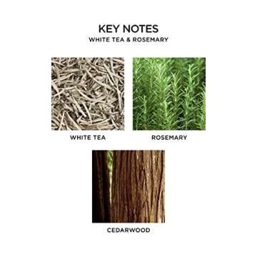 NEST New York White Tea & Rosemary Alfresco Scented Tealight Candle Refill Set, 16 Ct