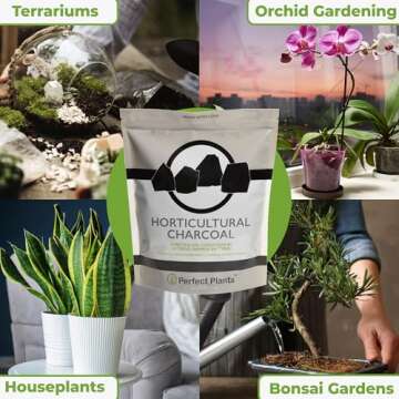 Horticultural Charcoal by Perfect Plants -4qts of Plant Charcoal - Naturally Cleanses, Flushes Toxins and Excess Moisture from Containers and Terrariums