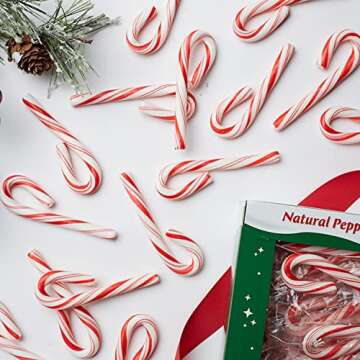 Spangler Red and White Peppermint Mini Canes 240 Count Box