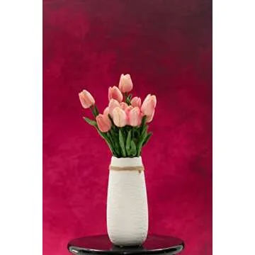 Kate Collapsible Backdrop for Photography and Video