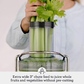 Breville RM-BJE430SIL Juicer, Renewed Brushed Steel