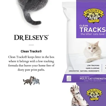Dr. Elsey's Premium Cat Litter - Low Dust & Odor Control