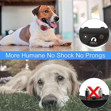 PaiPaitek No Shock Dog Training Collar with Remote, Lightest Vibration Collar for Small Dogs 5-15lbs...