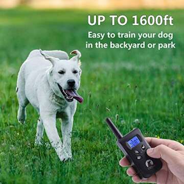 PaiPaitek No Shock Dog Training Collar - Lightweight & Effective