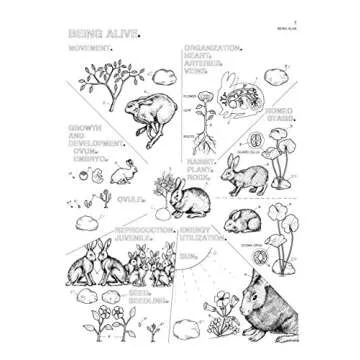 Explore Biology Creatively with The Biology Coloring Book