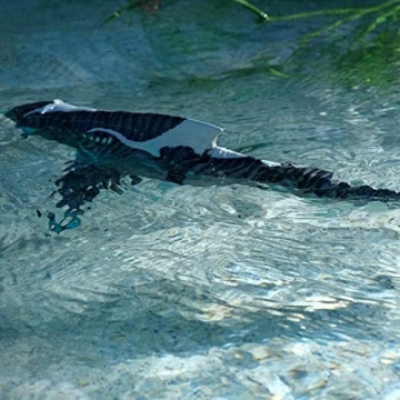 Avatar: Glow-in-the-Dark Remote Control Akula