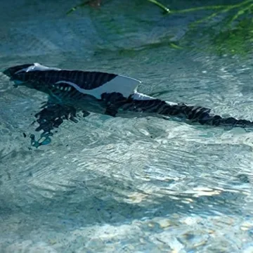 Avatar: Glow-in-the-Dark Remote Control Akula