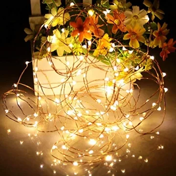 Battery Operated LED Fairy Lights for Home Decor