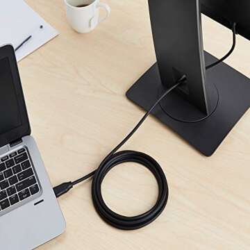 Amazon Basics DisplayPort to DisplayPort Cable 4K 10 Feet