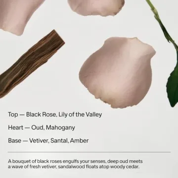 Salt & Stone Natural Deodorant Black Rose Oud Extra Strength