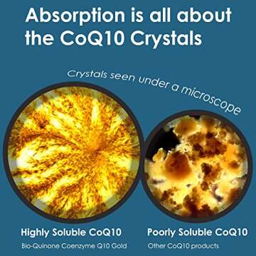 The Original CoQ10 from The Inventor of Q10 Supplements | High Absorption | Bio-Quinone Coenzyme Q10 100mg, Essential Antioxidant for Energy, Heart Health and Fertility Support, 60 Softgels