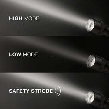 Energizer TAC 1000 LED Tactical Flashlight, Heavy Duty Bright Flashlight for Emergencies and Camping Gear, Water Resistant Flashlight, Batteries Included, Pack of 1, Black