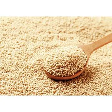 Food to Live Amaranth Grain, 1 Pound - 100% Whole Seeds, Vegan, Kosher, Bulk. Sweet, Nutty Flavor. Rich in Protein, Calcium. Great Alternative to Rice or Quinoa. Great for Cereal, Salads, Soups