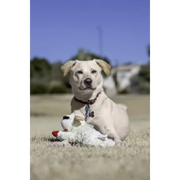 Multipet Lamb Chop Dog Toy Pack Durable and Fun