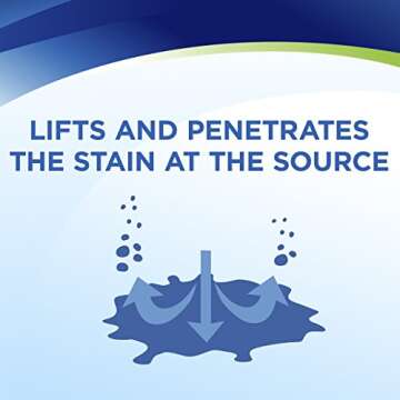 Bissell Woolite INSTAclean Pet Stain Remover 2 Pack