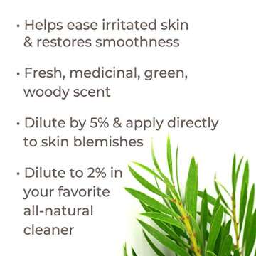 Plant Therapy Tea Tree Essential Oil 100% Pure, Pre-Diluted Roll-On, Natural Aromatherapy, Therapeut...