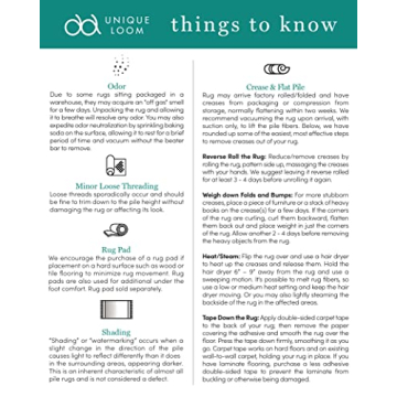 Unique Loom Sofia Collection Area Rug - Elegant Gray Beige