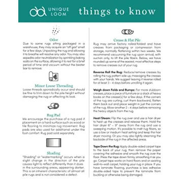 Unique Loom Sofia Collection Area Rug - Elegant Gray Beige