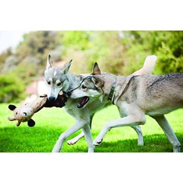 Outward Hound by Charming Pet Cuddle Tugs Bunny Plush Squeaky Dog Toy