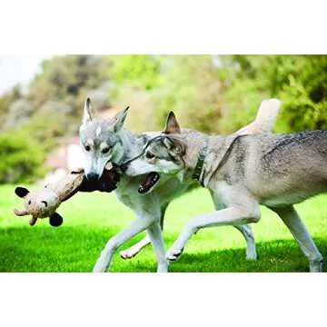 Outward Hound by Charming Pet Cuddle Tugs Bunny Plush Squeaky Dog Toy