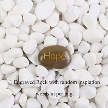 Lechloris 2LBS Snow White River Rock-Decorative Stones-Pebbles for Indoor Plants-Rocks for Outdoor L...