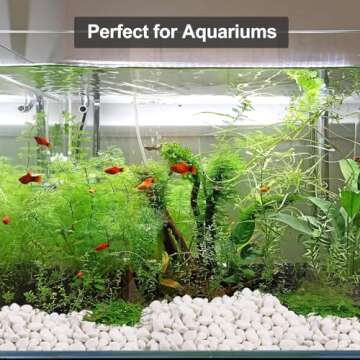 Lechloris 2LBS Snow White River Rock-Decorative Stones-Pebbles for Indoor Plants-Rocks for Outdoor Landscaping- Polished Stones for Fish Tank, Terrarium,Vases, Home Decor