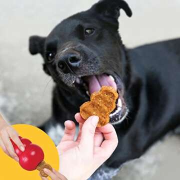 KONG Jerky - Dog Treats for Mental Stimulation Toys - Dog Supplies for Stuffing into Toys - Healthy ...