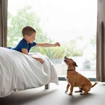 Exclusively Dog Best Buddy Bits Training Treats for Dogs and Puppies - All Natural, Baked in The USA, Ideal for Training & Agility, No Animal Byproducts - Beef & Liver Flavor, 5.5oz Resealable Bag