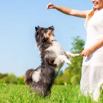 Exclusively Dog Best Buddy Bits Training Treats for Dogs and Puppies - All Natural, Baked in The USA, Ideal for Training & Agility, No Animal Byproducts - Beef & Liver Flavor, 5.5oz Resealable Bag