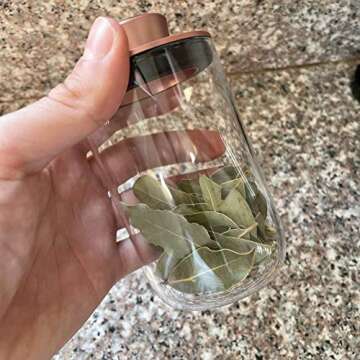 Brando Moon Glass Storage Jar Pro with Airtight Lid Engraved with Moon - Smell Proof and Airtight Mu...