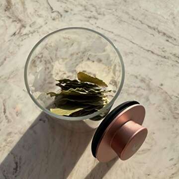 Brando Moon Glass Storage Jar Pro with Airtight Lid Engraved with Moon - Smell Proof and Airtight Multi-Use Stash Container for Coffee etc - Perfect Travel Size 4" and 280ml (Rose Gold)