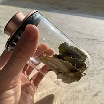 Brando Moon Glass Storage Jar Pro with Airtight Lid Engraved with Moon - Smell Proof and Airtight Multi-Use Stash Container for Coffee etc - Perfect Travel Size 4" and 280ml (Rose Gold)