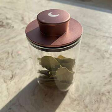 Brando Moon Glass Storage Jar Pro with Airtight Lid Engraved with Moon - Smell Proof and Airtight Multi-Use Stash Container for Coffee etc - Perfect Travel Size 4" and 280ml (Rose Gold)