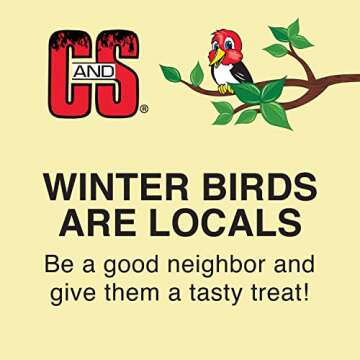 Kaytee Orange Harvest Suet Dough for Easy Bird Feeding