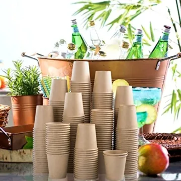 BYSNOW 300 Pack Leak-Proof 3OZ Disposable Paper Cups