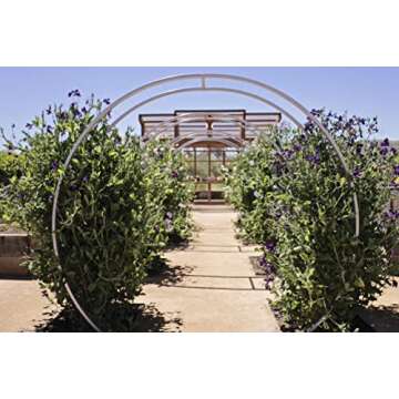 TERRA TRELLIS Gracie Modern Arbor Moongate for Outdoor Plants | Garden Arch Climbing Vines Trellis | Modern, Steel & Durable Metal Round | Regular (Aubergine)