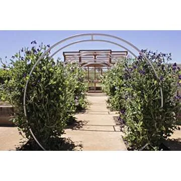 TERRA TRELLIS Gracie Modern Arbor Moongate for Outdoor Plants | Garden Arch Climbing Vines Trellis | Modern, Steel & Durable Metal Round | Regular (Aubergine)