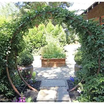 TERRA TRELLIS Gracie Modern Arbor Moongate for Outdoor Plants | Garden Arch Climbing Vines Trellis | Modern, Steel & Durable Metal Round | Regular (Aubergine)