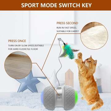 Interactive Electric Cat Toys for Kittens