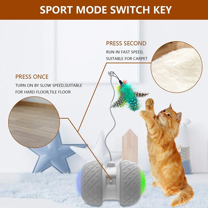 Interactive Electric Cat Toys for Kittens