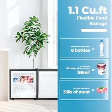 Electactic Mini Freezer with Adjustable Thermostat