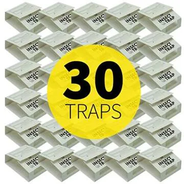 S&T INC. Insect Traps, Glue Traps for Brown Recluse, Hobo Spiders, Black Widows, Use in Home, Baseme...
