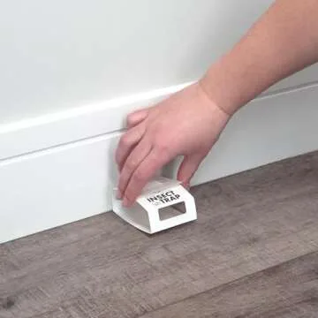 S&T INC. Insect Traps, Glue Traps for Brown Recluse, Hobo Spiders, Black Widows, Use in Home, Basement or Garage, or Utility Rooms for Pest Control, White, 30 Count