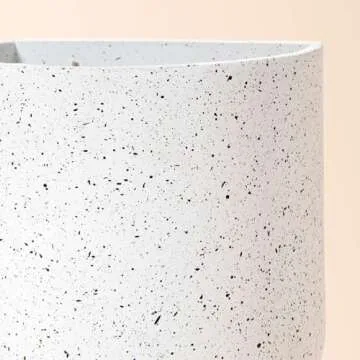 LA JOLIE MUSE Wall Hanging Planters for Indoor Plants，Hanging Flower Pots for Air Plants Succulent, Set of 2, 6 Inch, Speckled White