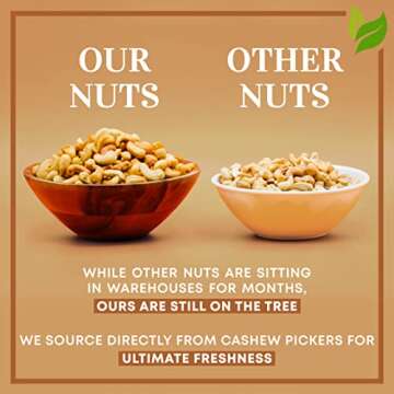 Oven Dry Roasted Fancy Cashews with Sea Salt-1.5 lb | Whole Cashews | No Oil | No PPO | Vegan and Keto Friendly | Made from Natural Cashews